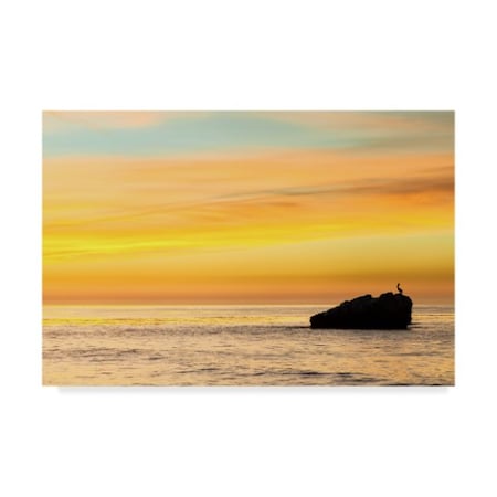 Chris Moyer 'Pelican Sunrise' Canvas Art,16x24